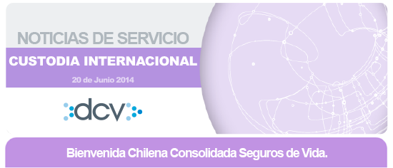 head-junio-20-2014-custodia-internacional-web