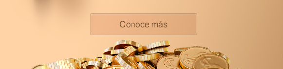 boton garantias rep julio esp