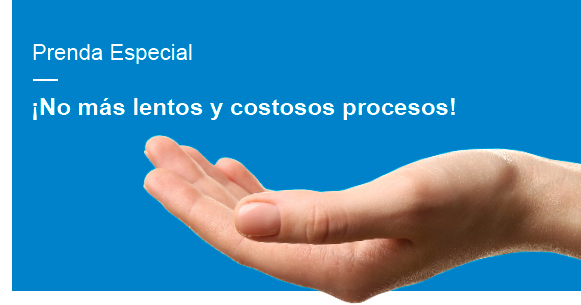 head 21 03 2019 prenda constitucion garantias esp
