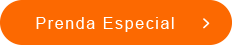 bot pe esp
