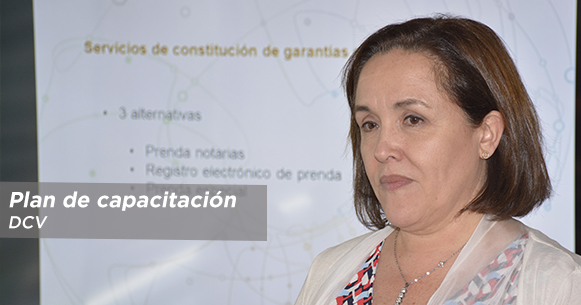 head plan capacitacion dcv 2019