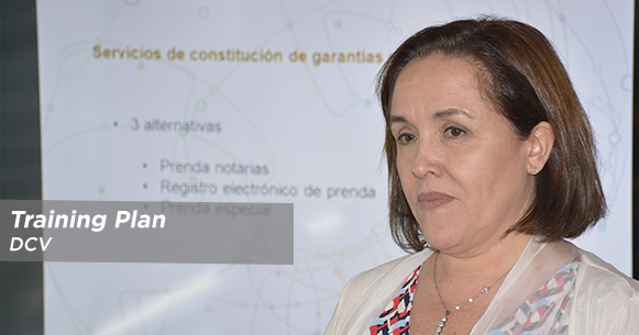 head plan capacitacion dcv 2019